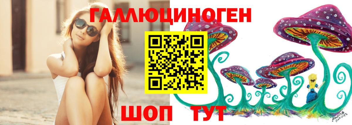 Галлюциногенные грибы мицелий Богданович
